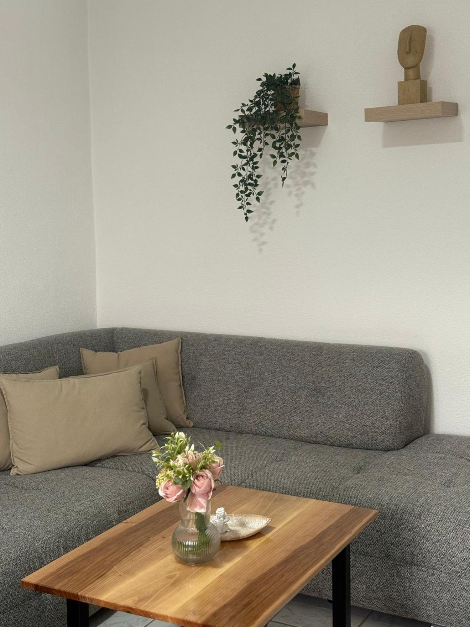 Beli Kamen Vikendica Casa vacanze Besenovacki Prnjavor