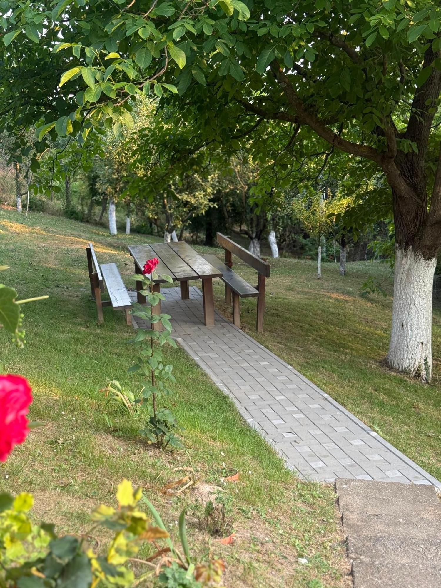 Case de vacanță Beli Kamen Vikendica Besenovacki Prnjavor